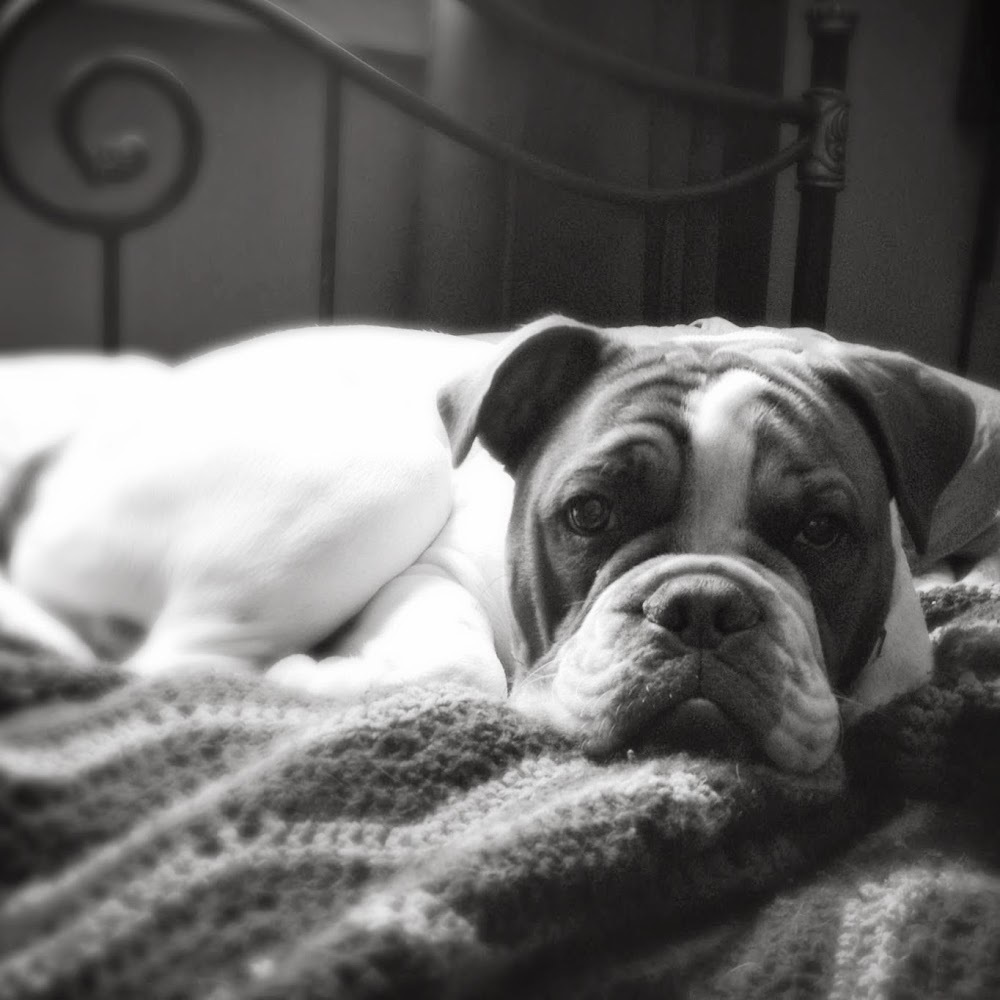 Meet your Posher, Breanna